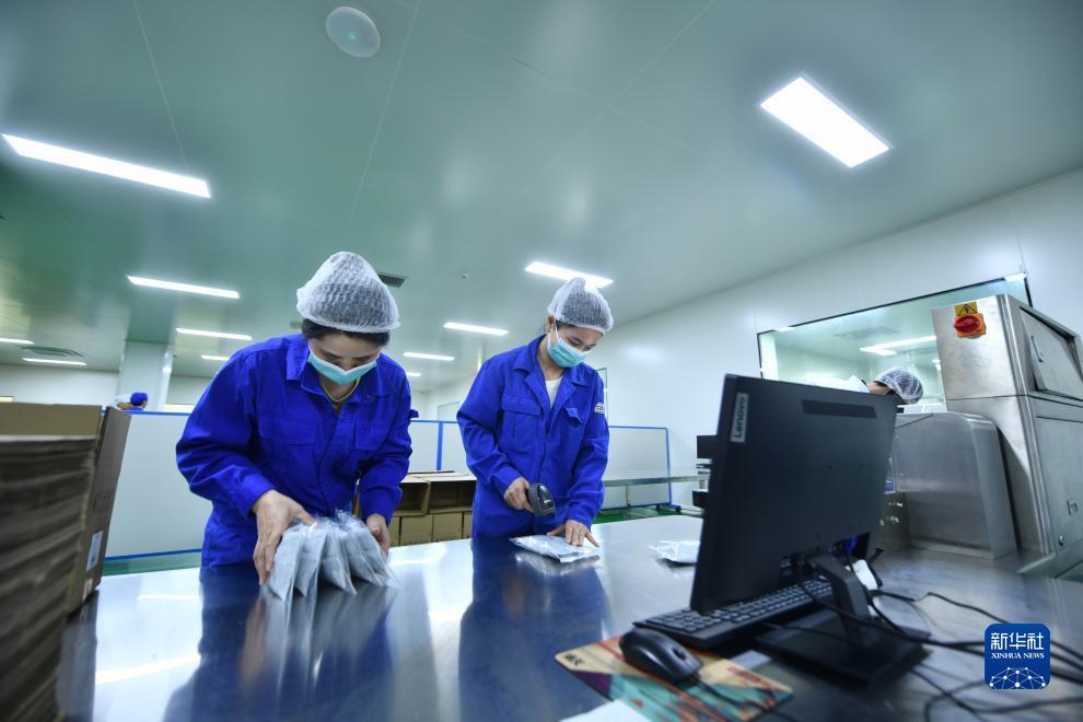 手机赌场信誉网站